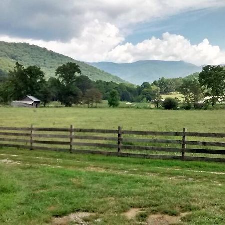 Barnardsville Country Mountain Escape! 빌라 외부 사진