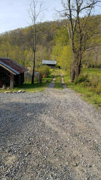 Barnardsville Country Mountain Escape! 빌라 외부 사진