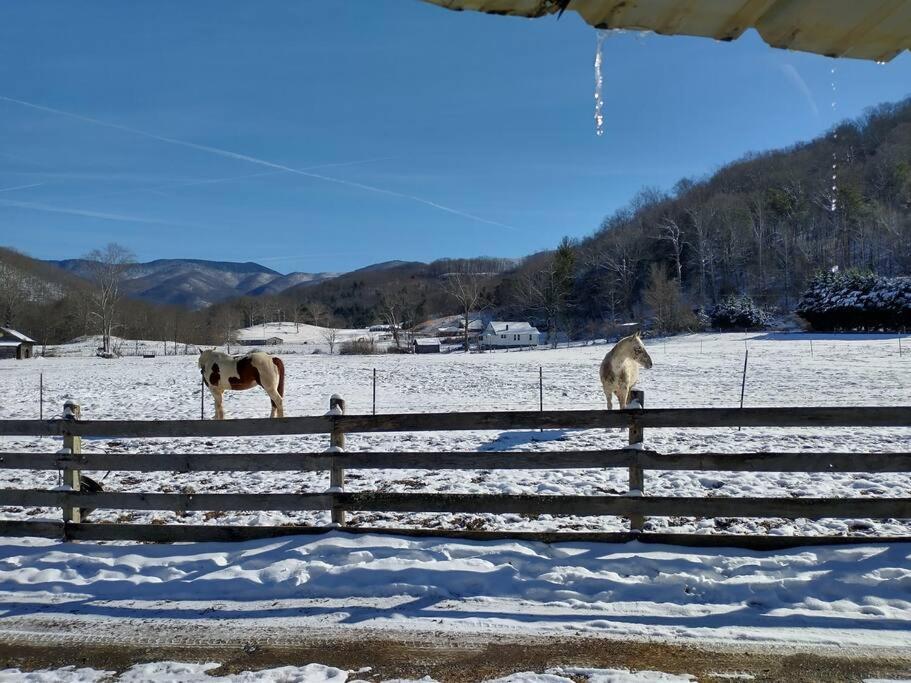Barnardsville Country Mountain Escape! 빌라 외부 사진