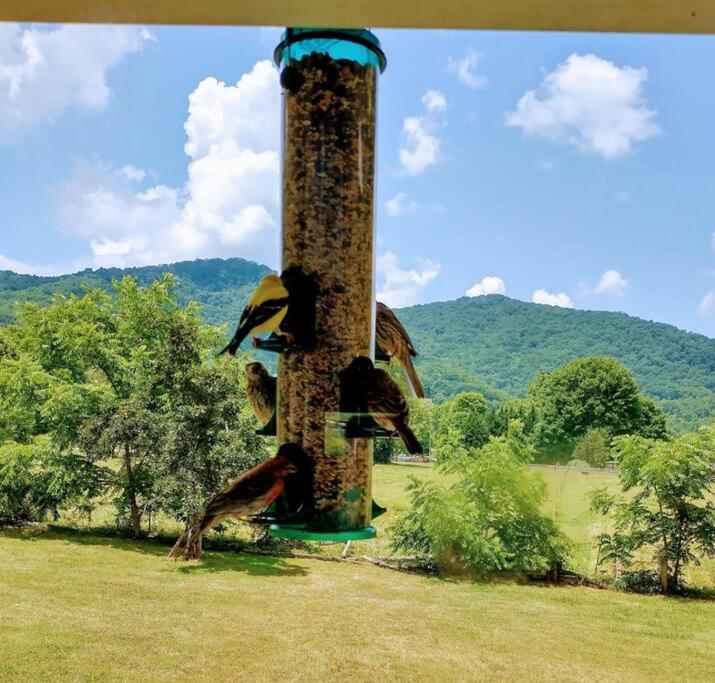 Barnardsville Country Mountain Escape! 빌라 외부 사진