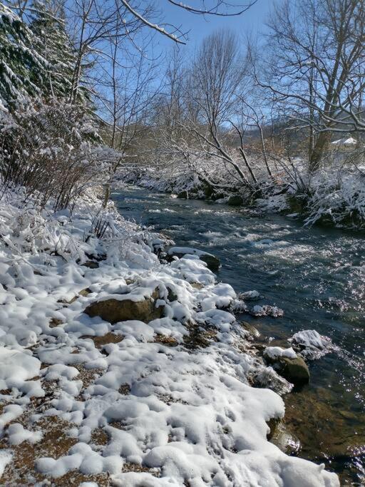 Barnardsville Country Mountain Escape! 빌라 외부 사진
