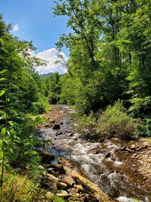 Barnardsville Country Mountain Escape! 빌라 외부 사진