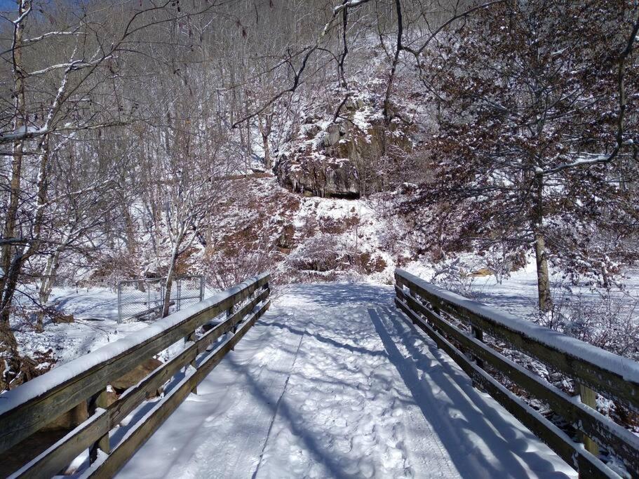 Barnardsville Country Mountain Escape! 빌라 외부 사진