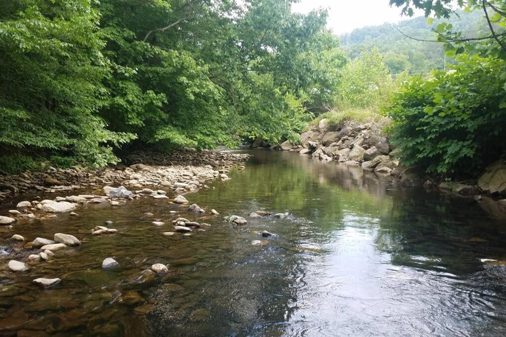 Barnardsville Country Mountain Escape! 빌라 외부 사진
