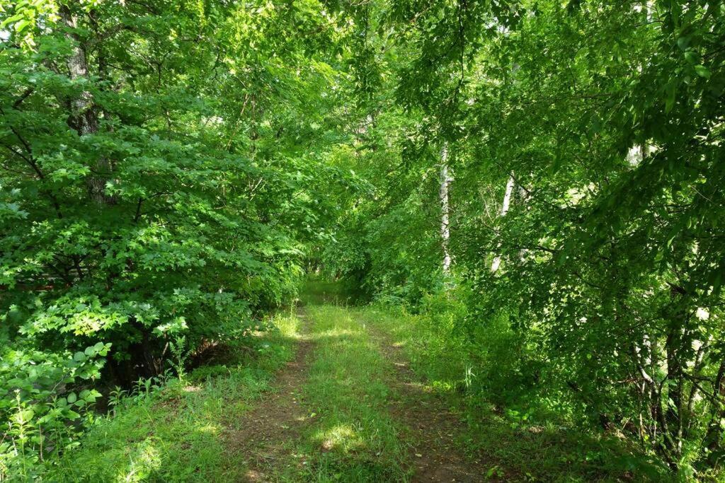 Barnardsville Country Mountain Escape! 빌라 외부 사진