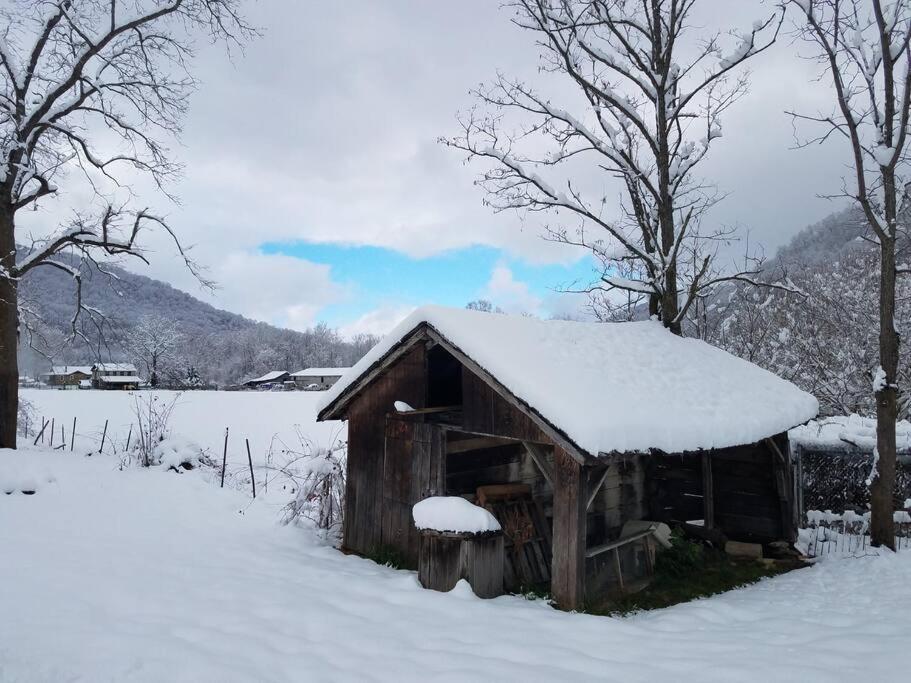 Barnardsville Country Mountain Escape! 빌라 외부 사진